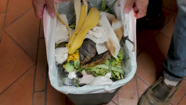 Same-Day Junk Removal Services in Lebanon, VA